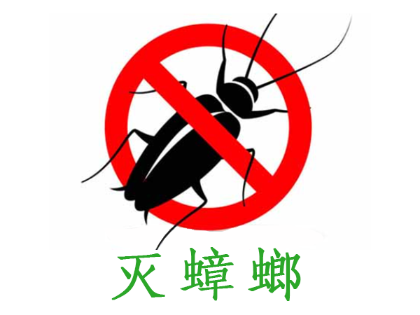 咸阳蟑螂消杀哪家好_上门服务_益森除蟑螂